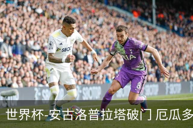 世界杯-安古洛普拉塔破门 厄瓜多尔2-1逆转德国出线