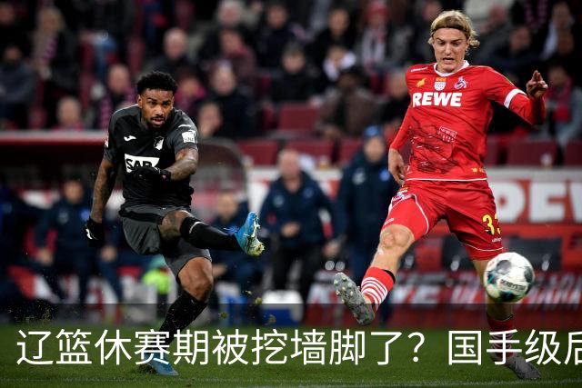 辽篮休赛期被挖墙脚了？国手级后卫恐被交易：变相逼着赵继伟走人